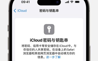 iPhone15如何使用 iCloud 钥匙串 iPhone15使用 iCloud 钥匙串方法