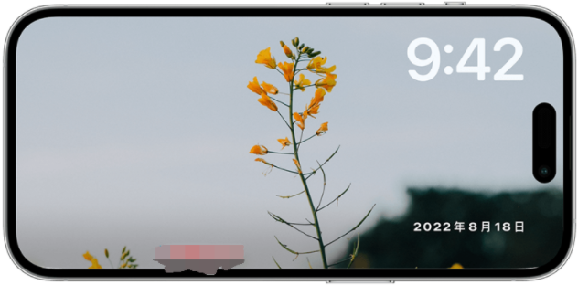 iPhone 待机模式照片更改教学，自定义iOS17待机画面显示的照片-第6张图片