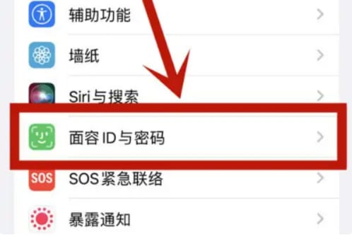 iPhone下载App时无法使用面容ID怎么办 iPhone下载无法使用面容ID解决方法-第3张图片