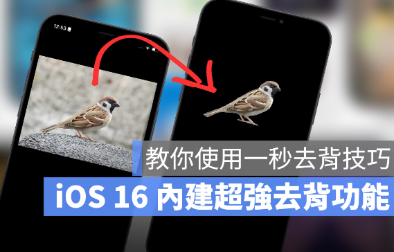 iOS 16 「拷贝主体」去背景功能超强-第1张图片