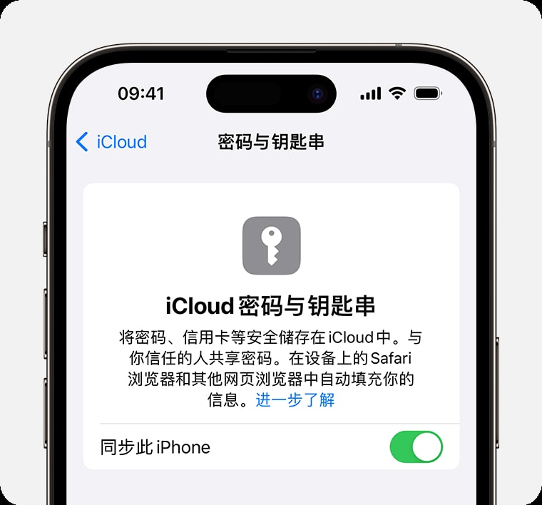 iPhone15如何使用 iCloud 钥匙串 iPhone15使用 iCloud 钥匙串方法-第1张图片