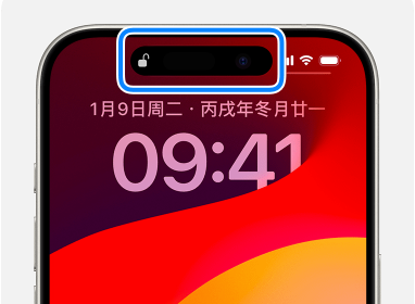 iOS17.4面容ID无法使用怎么办 iOS17.4面容ID无法使用解决方法-第2张图片