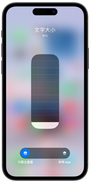 iPhone 字体大小设定隐藏技巧，一键调整特定App、画面的字体大小-第7张图片