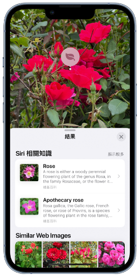 iOS 17 图像查询应用更广泛，就连车用符号都看得懂-第1张图片