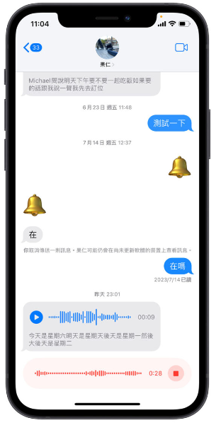 iOS 17 自动把语音信息转成文字，教你如何开启与使用-第7张图片